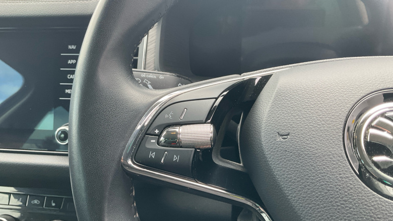 Skoda Kodiaq 1.5 TSI SE L Executive 5dr DSG [7 Seat] Petrol Estate